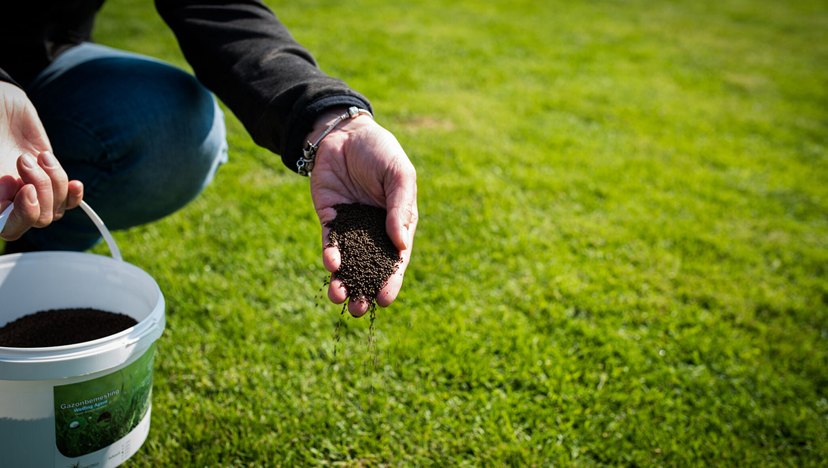 Planten Verkoop Winkel -Planten Verkoop Winkel 2