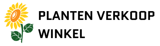 Planten Verkoop Winkel