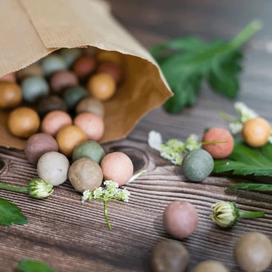 Blossombs Kraft Zak Zaadbolletjes MIX 4 Blossombs Kraft Zak Zaadbolletjes MIX - Afbeelding 2