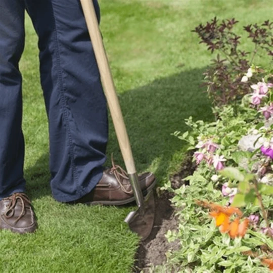 De Wiltfang RHS Graskantensteker 5 De Wiltfang RHS Graskantensteker - Afbeelding 3