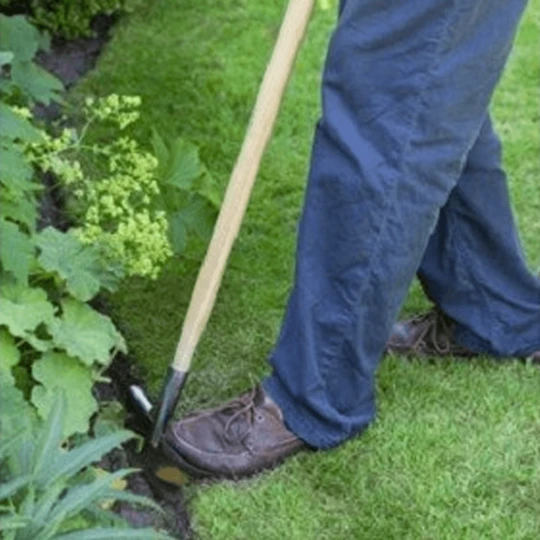 De Wiltfang RHS Graskantensteker 7 De Wiltfang RHS Graskantensteker - Afbeelding 5