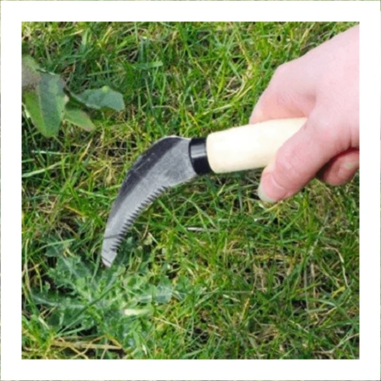 Burgon & Ball Grondmes (koolstofstaal) 4 Burgon & Ball Grondmes (koolstofstaal) - Afbeelding 2