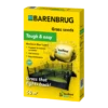 Barenbrug Resilient Blue® Lawn - Speelgazon 2 Barenbrug Resilient Blue® Lawn - Speelgazon -Planten Verkoop Winkel image 31