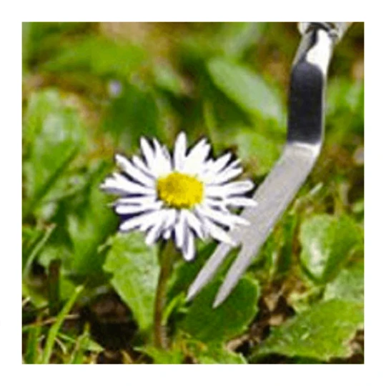 Burgon & Ball RHS Onkruidsteker - Plat 4 Burgon & Ball RHS Onkruidsteker - Plat - Afbeelding 2