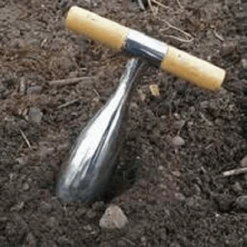 De Wiltfang RHS Pootstok 11 De Wiltfang RHS Pootstok -Planten Verkoop Winkel image 341