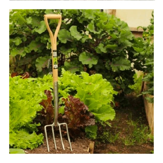 Burgon & Ball RHS Spitvork 4 Tanden 4 Burgon & Ball RHS Spitvork 4 Tanden - Afbeelding 2