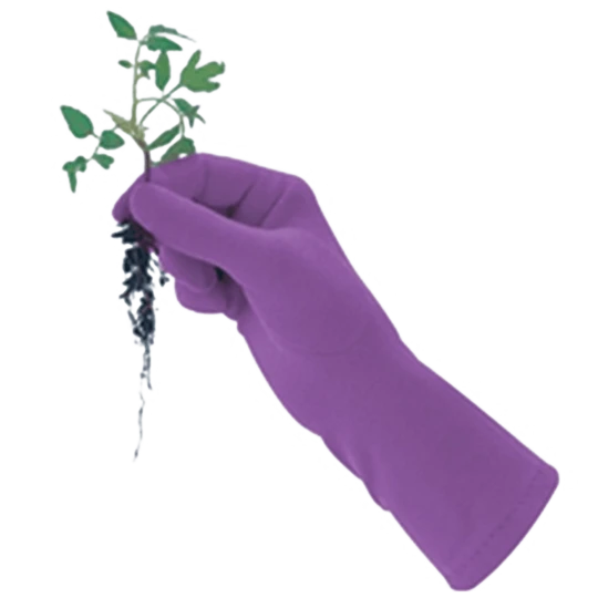 De Wiltfang Foxgloves Original 5 De Wiltfang Foxgloves Original - Afbeelding 3