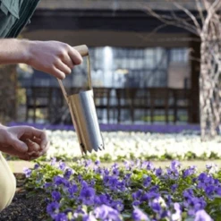 De Wiltfang RHS Bollenpriem, Handmodel 9 De Wiltfang RHS Bollenpriem, Handmodel -Planten Verkoop Winkel image 367